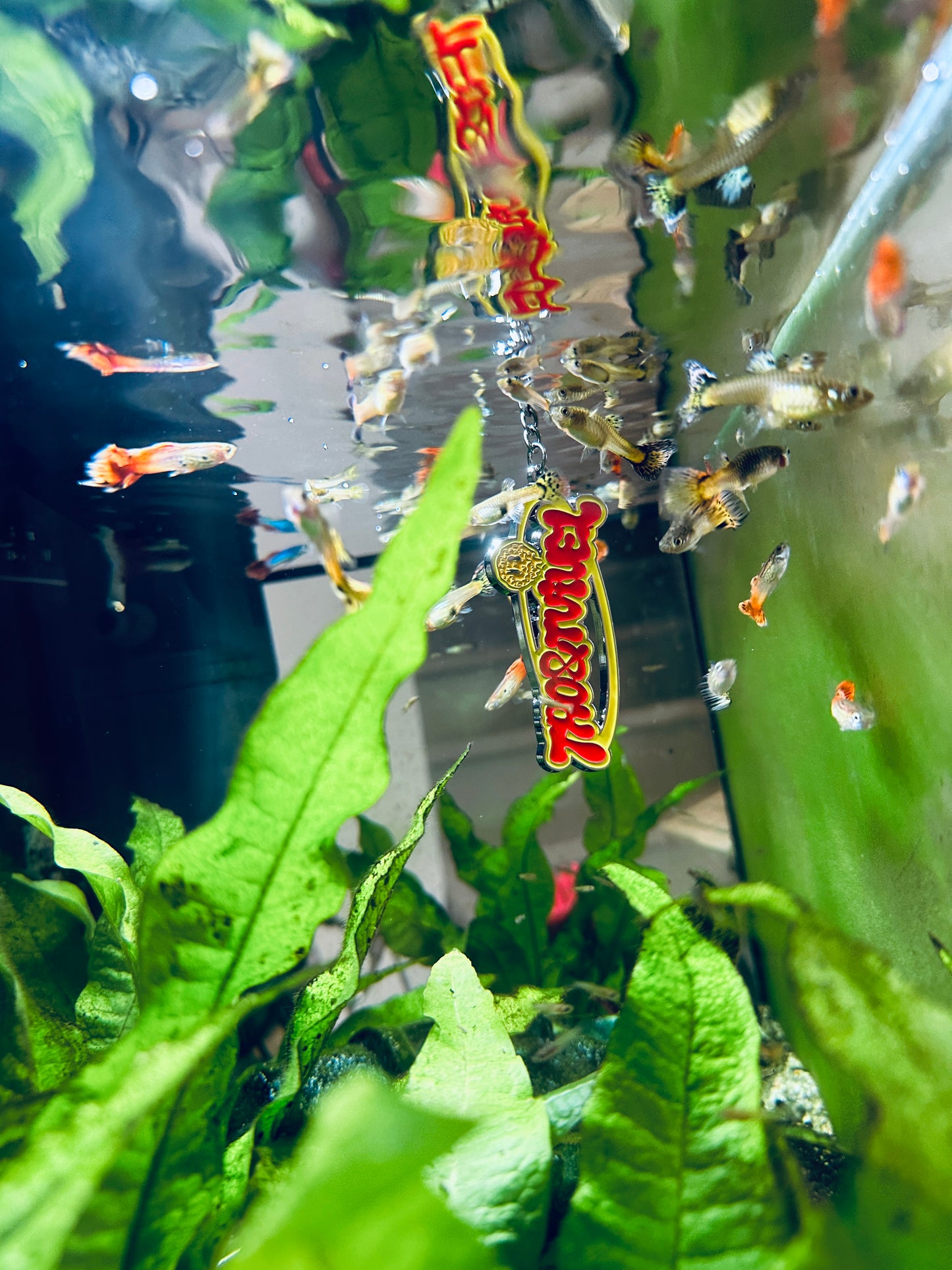 Nyckelring i akvarium med fiskar